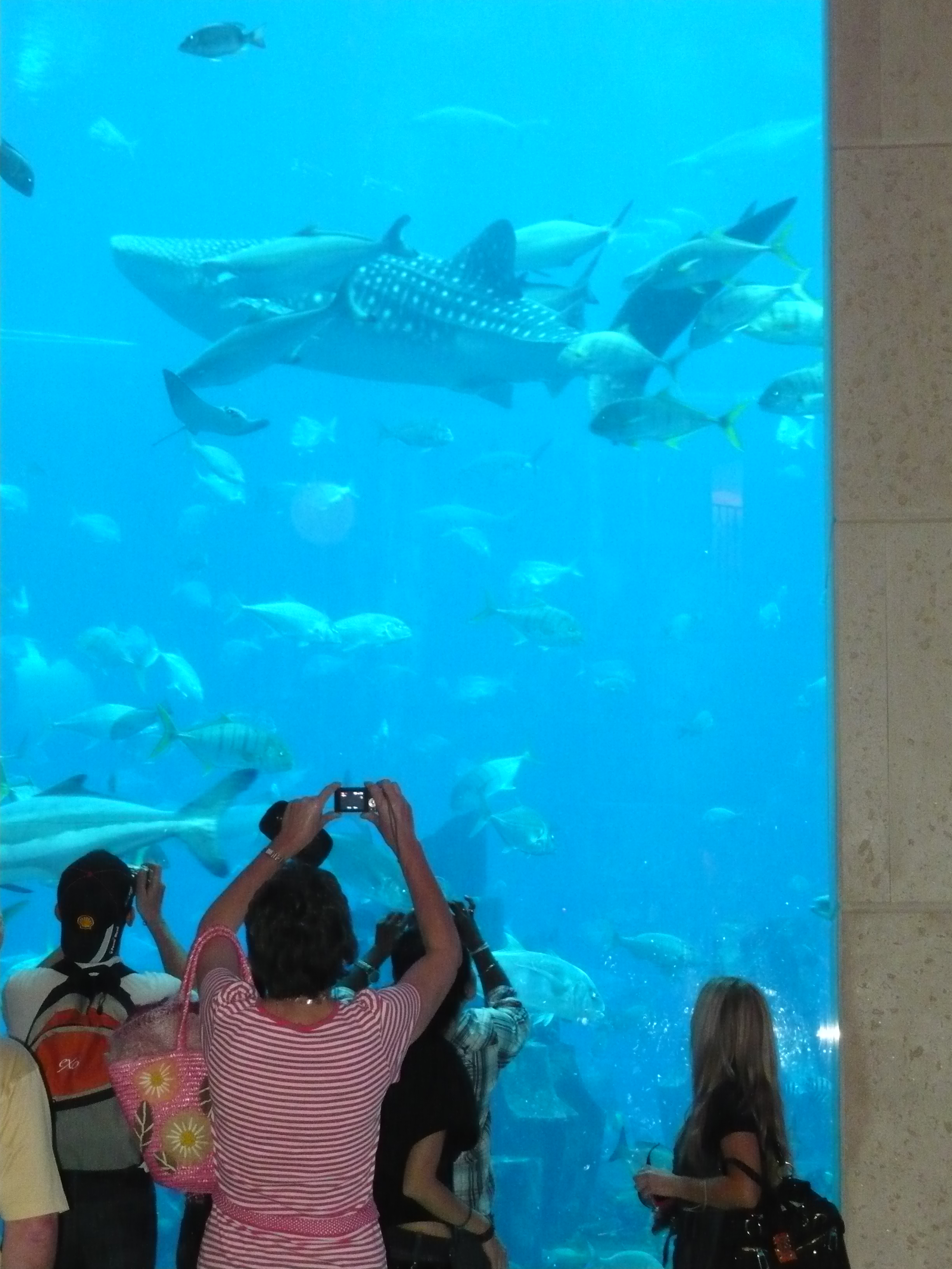 Dubai Hotel Atlantis tour Aquarium