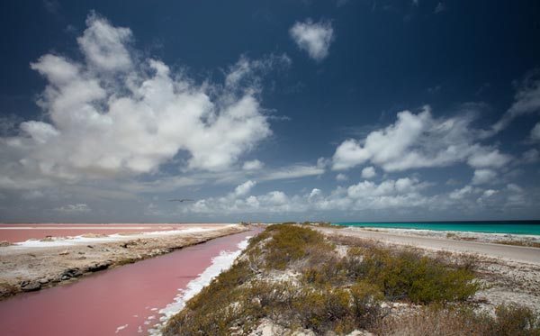 beautiful pink beaches Caribbean