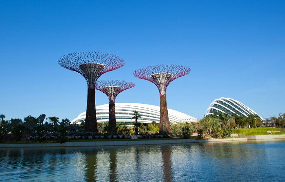 best attractions in Singapore, Bay Gardens 2