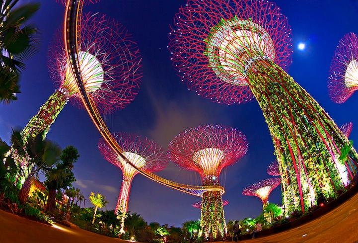 best attractions in Singapore, Bay Gardens 3