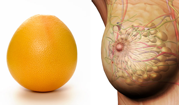 hyppocrates nutrition nourishing properties of grapefruit