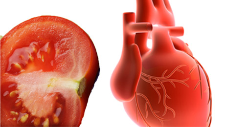 hyppocrates nutrition nourishing properties of tomato