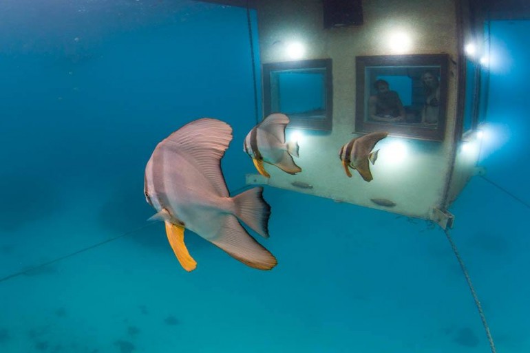 Africa's First Underwater Hotel Room Manta Resort 9