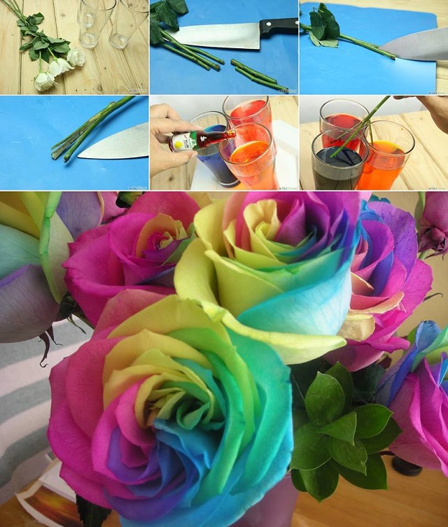 Rainbow Roses Tutorial