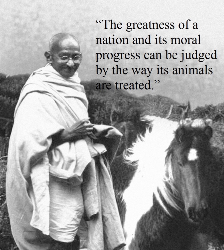 famous quotes of Gandhi 11