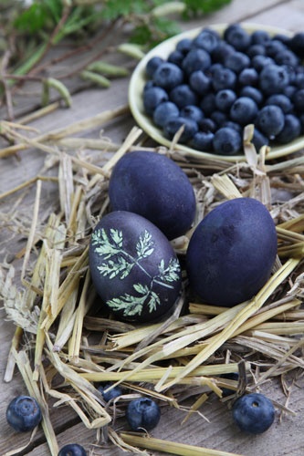 fun ways to dye easter eggs, blueberry