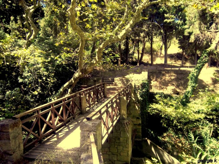 the oldest park, Greece 5