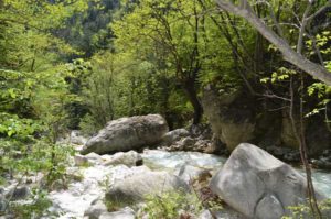 the lovely gorge of the “Thermopotamos” river 5