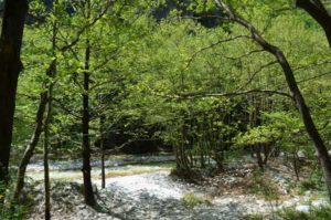 the lovely gorge of the “Thermopotamos” river 2