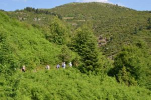 walking on the mount Olympus, Greece