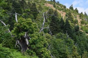 walking on the mount Olympus, Greece 3