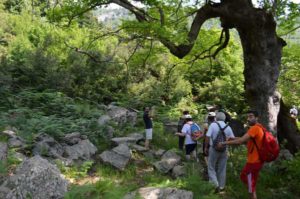 walking on the mount Olympus, Greece 5