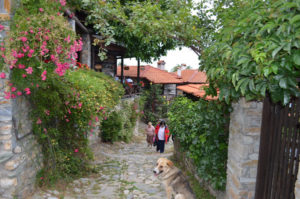 Old Agios Pandeleimon Traditional Greek village 5