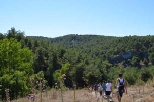 Kemerdere valley Turkey 2