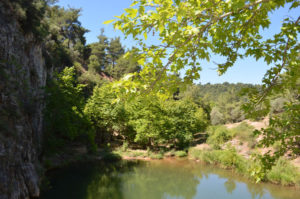 beautiful lake in the forest of Kemerdere 2