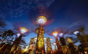 best attractions in Singapore, Bay Gardens 9