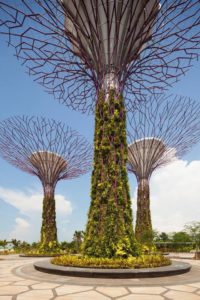 best attractions in Singapore, Bay Gardens 11