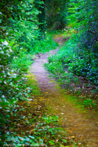 Amazing scenery of the Athos Mountain, Halkidiki, Greece 3