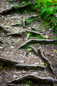 Amazing scenery of the Athos Mountain, Halkidiki, Greece 4