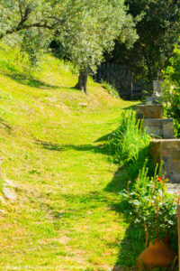 Amazing scenery of the Athos Mountain, Halkidiki, Greece 7