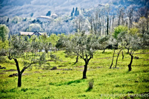 Amazing scenery of the Athos Mountain, Halkidiki, Greece 13