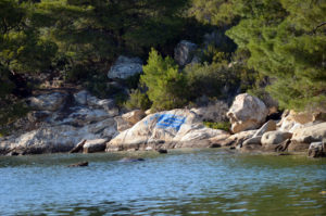 beautiful beach in Halkidiki 4