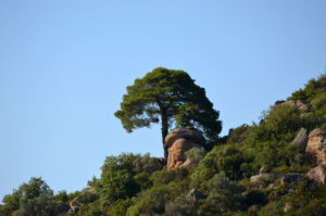 beautiful beach in Halkidiki 6