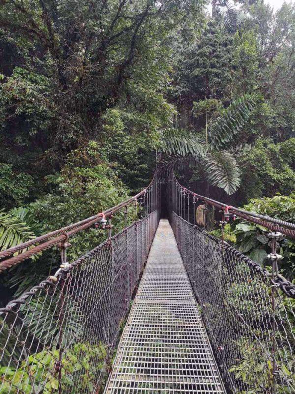 Beautiful Hanging Bridge Costa Rica